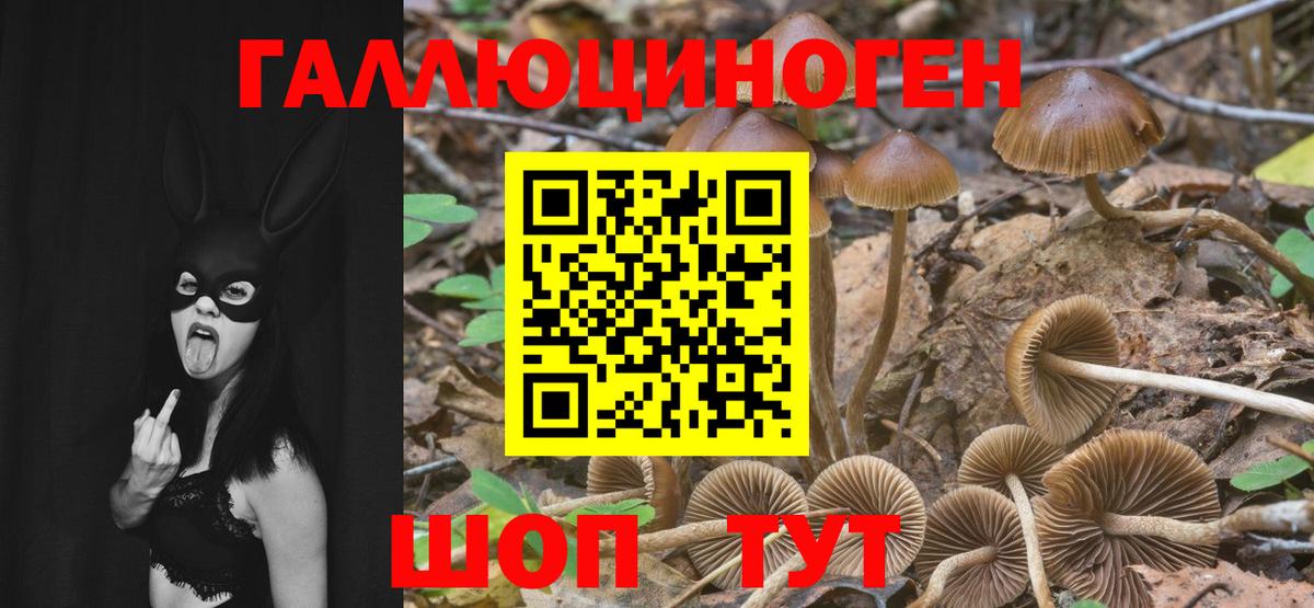 Псилоцибиновые грибы Psilocybine cubensis  Вход с VPN  Уварово  Галлюциногенные грибы Magic Shrooms 
